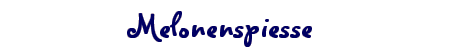 Melonenspiesse